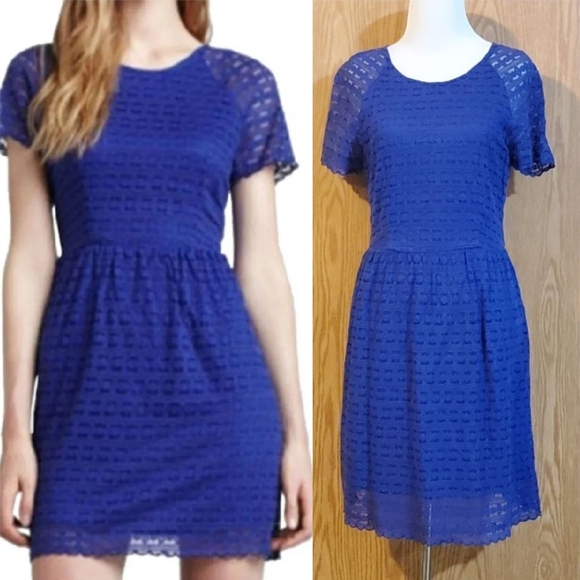 Free People Dresses & Skirts - Free People lace mini dress cobalt blue cotton blend size 8